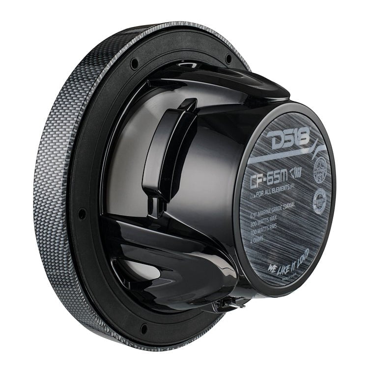 Rear-angle view of a DS18 CF-65M speaker showing the magnet label and black basket