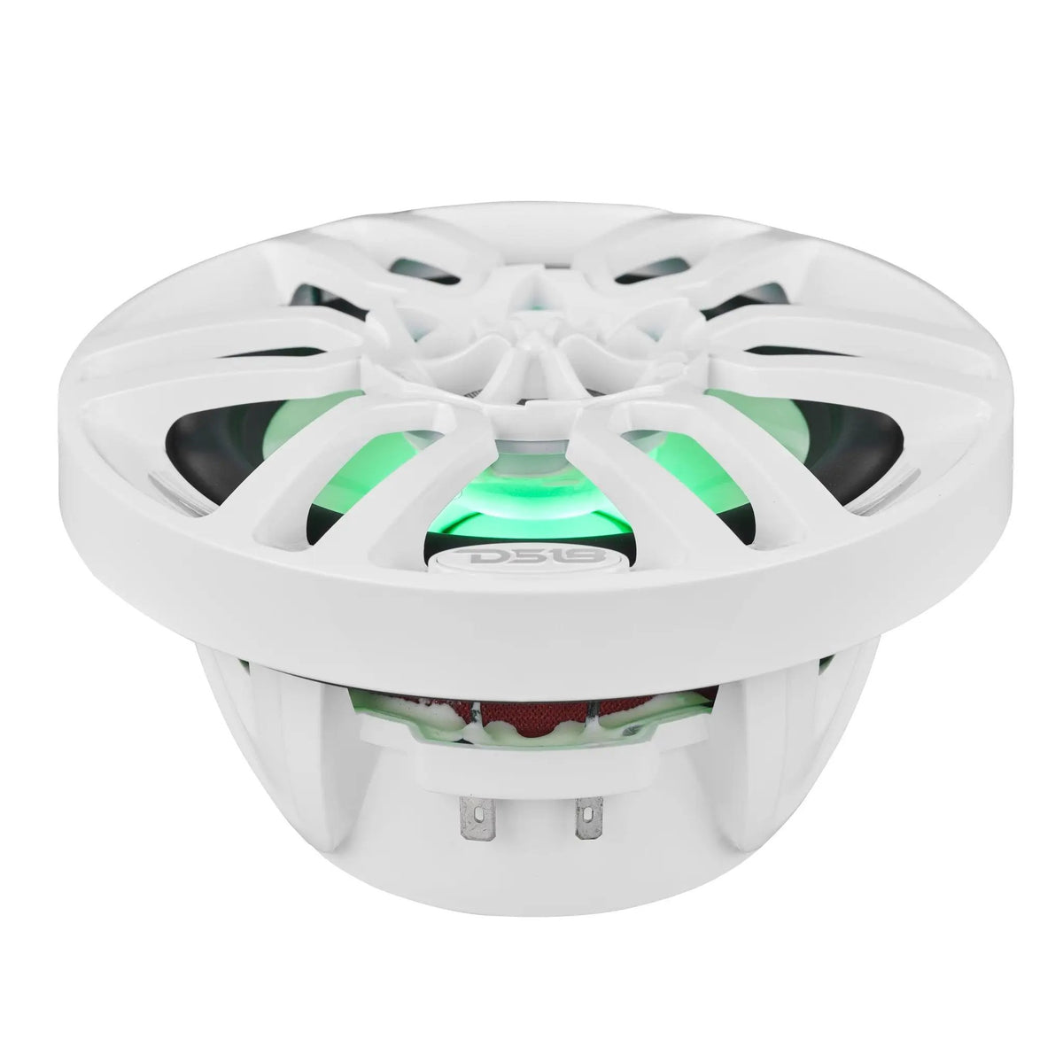 Low front view of a white DS18 speaker showing green lighting, its basket and wiring terminals