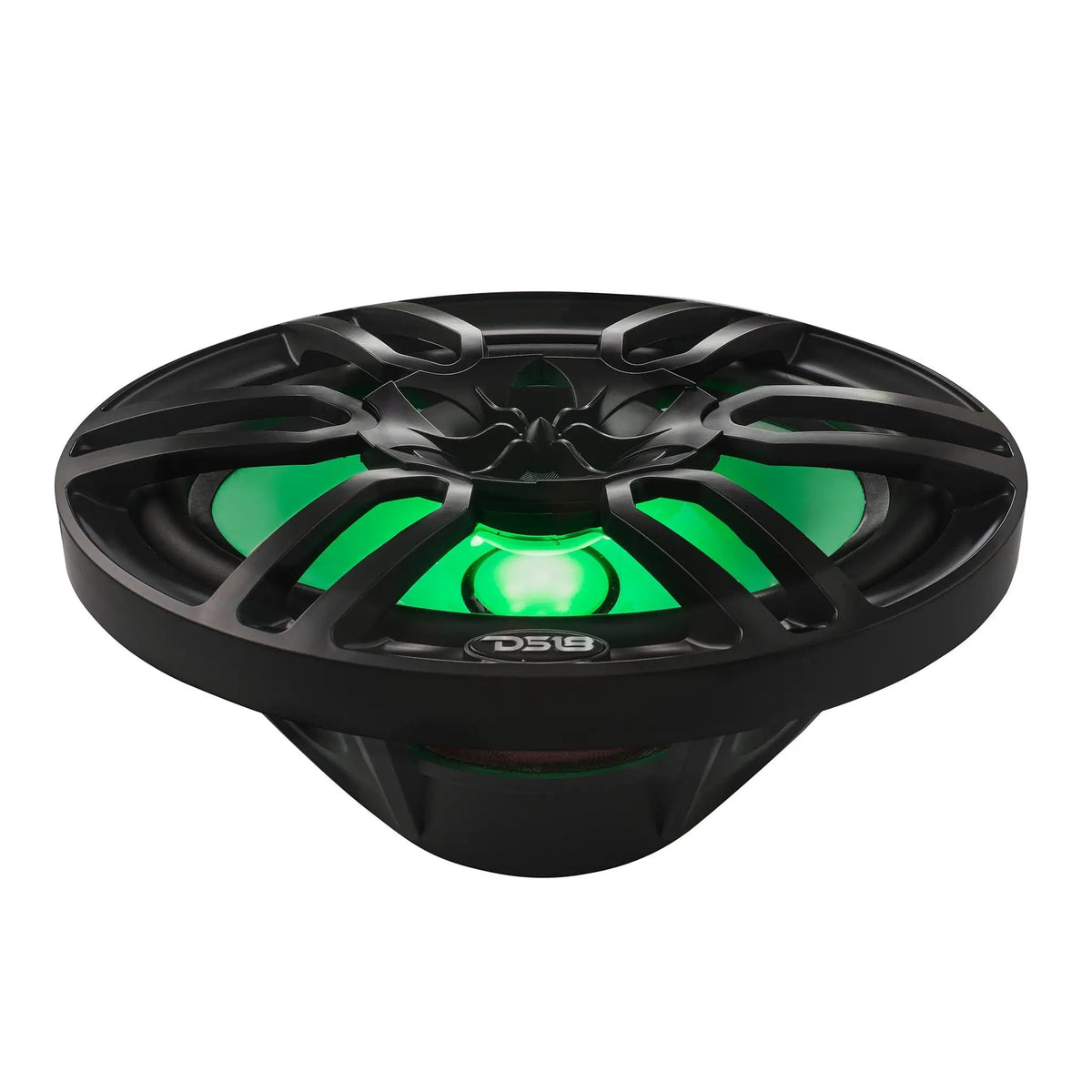 Low front angle of a black oval DS18 speaker with green lighting