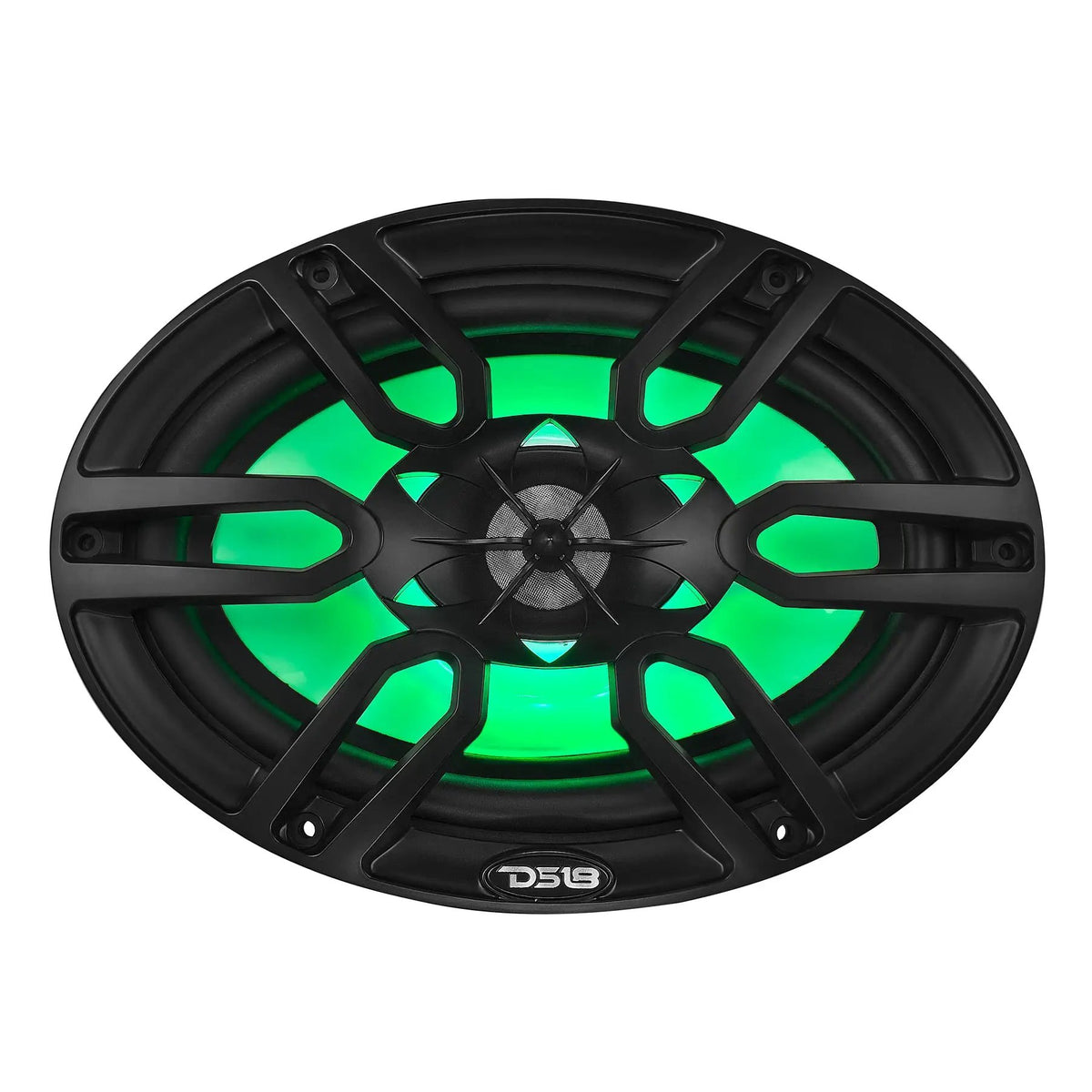 Front view of a black oval DS18 speaker with green lighting behind its grille
