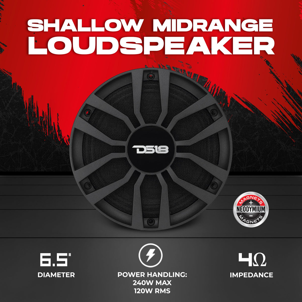 DS18 PRO-INS6.4, product image 2