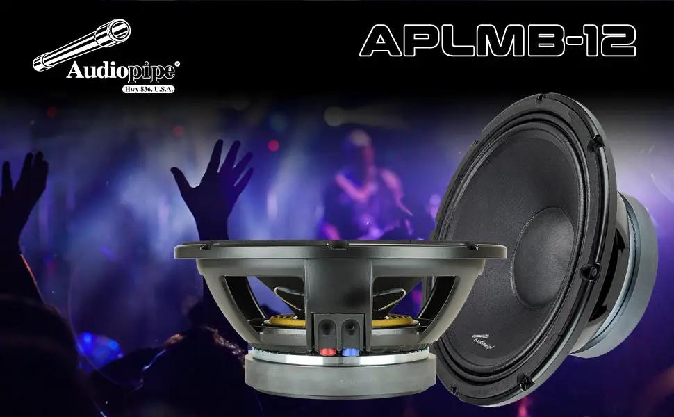 Audiopipe APLMB-12 front and side views against a concert-crowd background