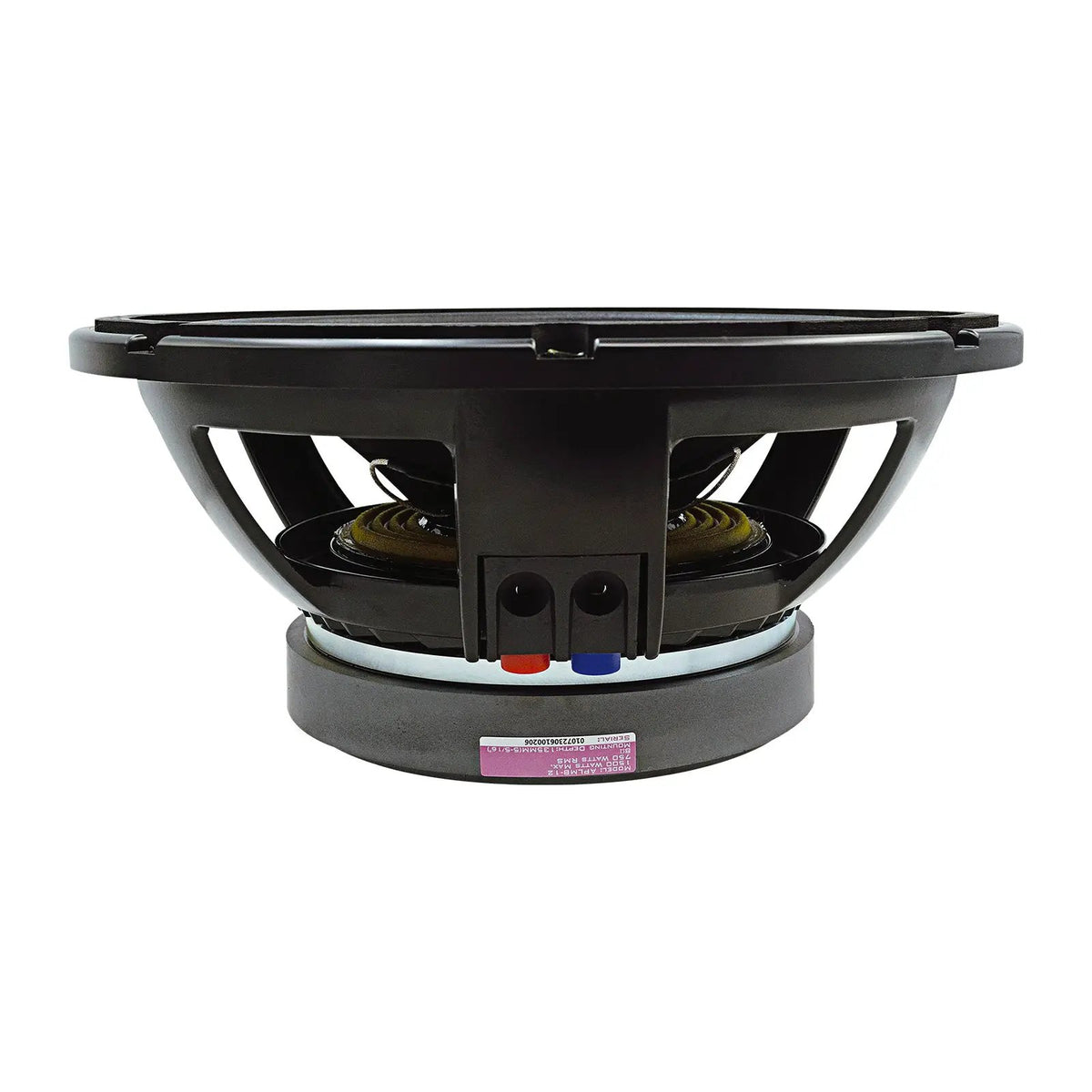 Side view of a large black speaker with red and blue terminal caps and a silver magnet