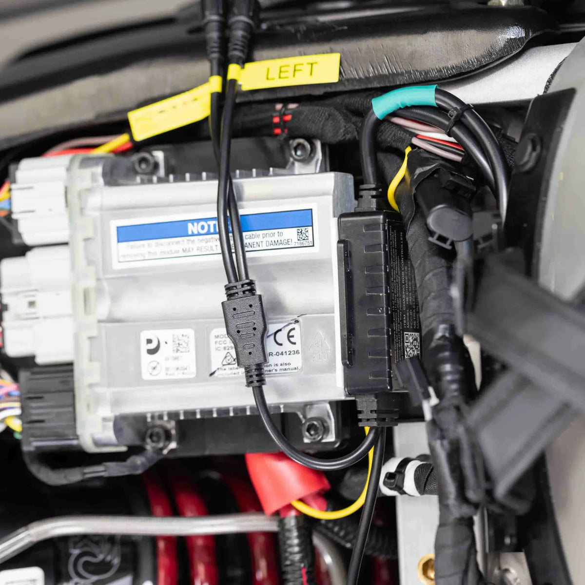 Saddle Tramp LED kit wiring installed beside the motorcycle electronics, with a left-labeled lead and inline connector