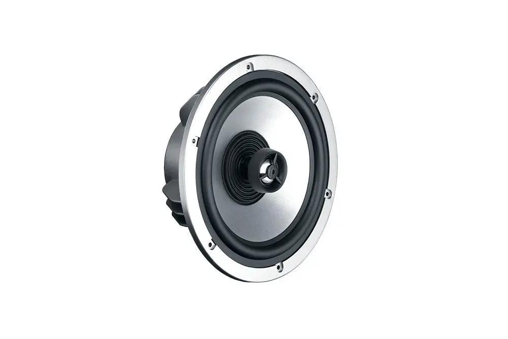 Angled ungrilled speaker with a silver cone and raised central tweeter