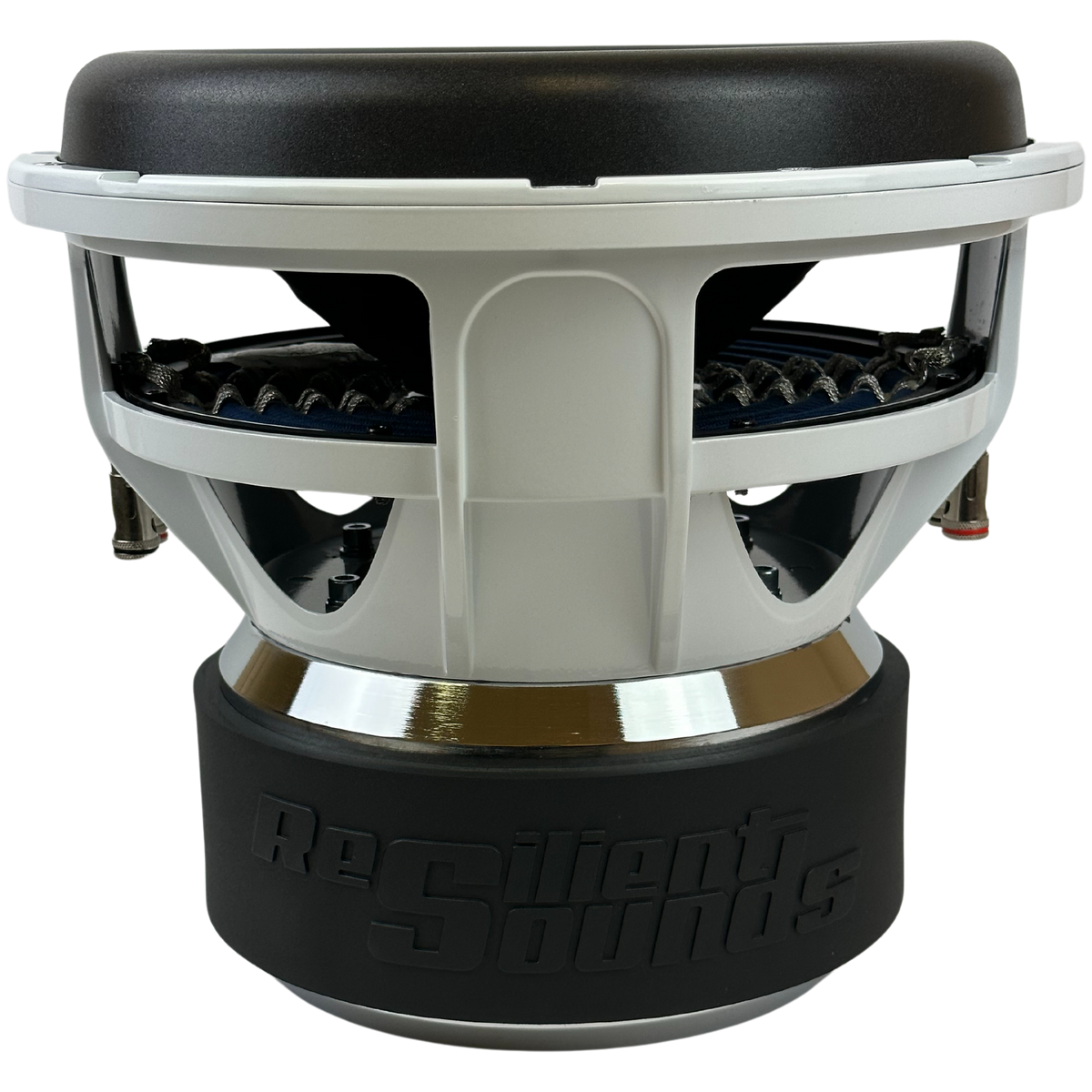 Resilient Sounds Gold V2 Series 12" Subwoofer - product image 2
