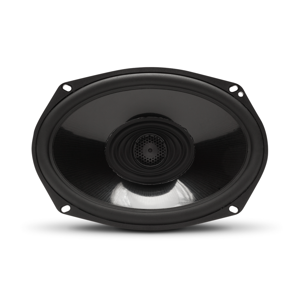 Front View of Speaker without Grille