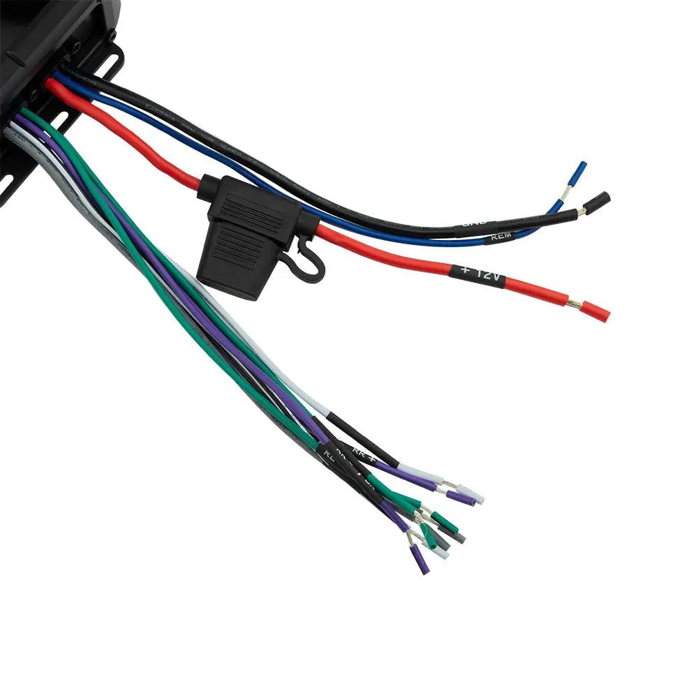 Close-up of a DS18 amplifier wire bundle with an inline fuse holder and stripped colored leads