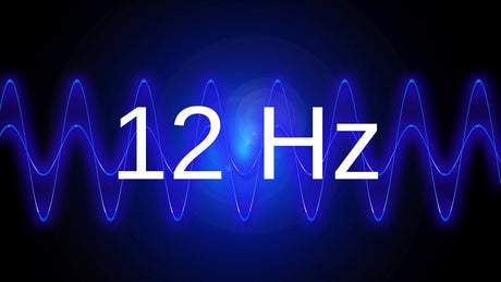 SPL Subwoofers vs. Musical Subwoofers: Mechanical Noise, Competition Burps and the Great “Dem Lows” Debate