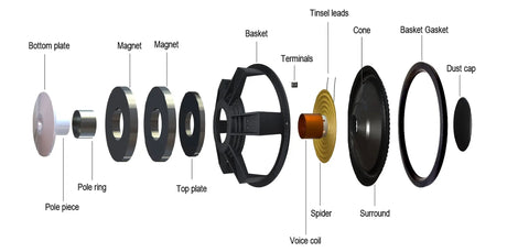 Subwoofer Anatomy, Part One: Cone, Surround, Dust Cap, Basket and Terminals