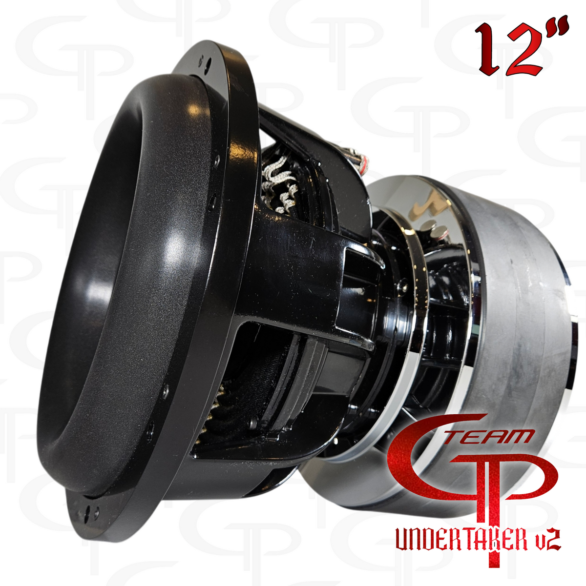 Team GP Undertaker v2 12-inch subwoofer angled front view showing the cone, surround and basket