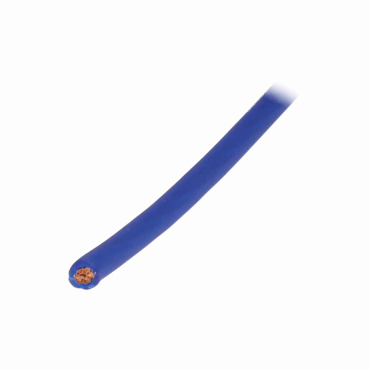 Blue T-Spec wire viewed from its cut end with copper strands visible