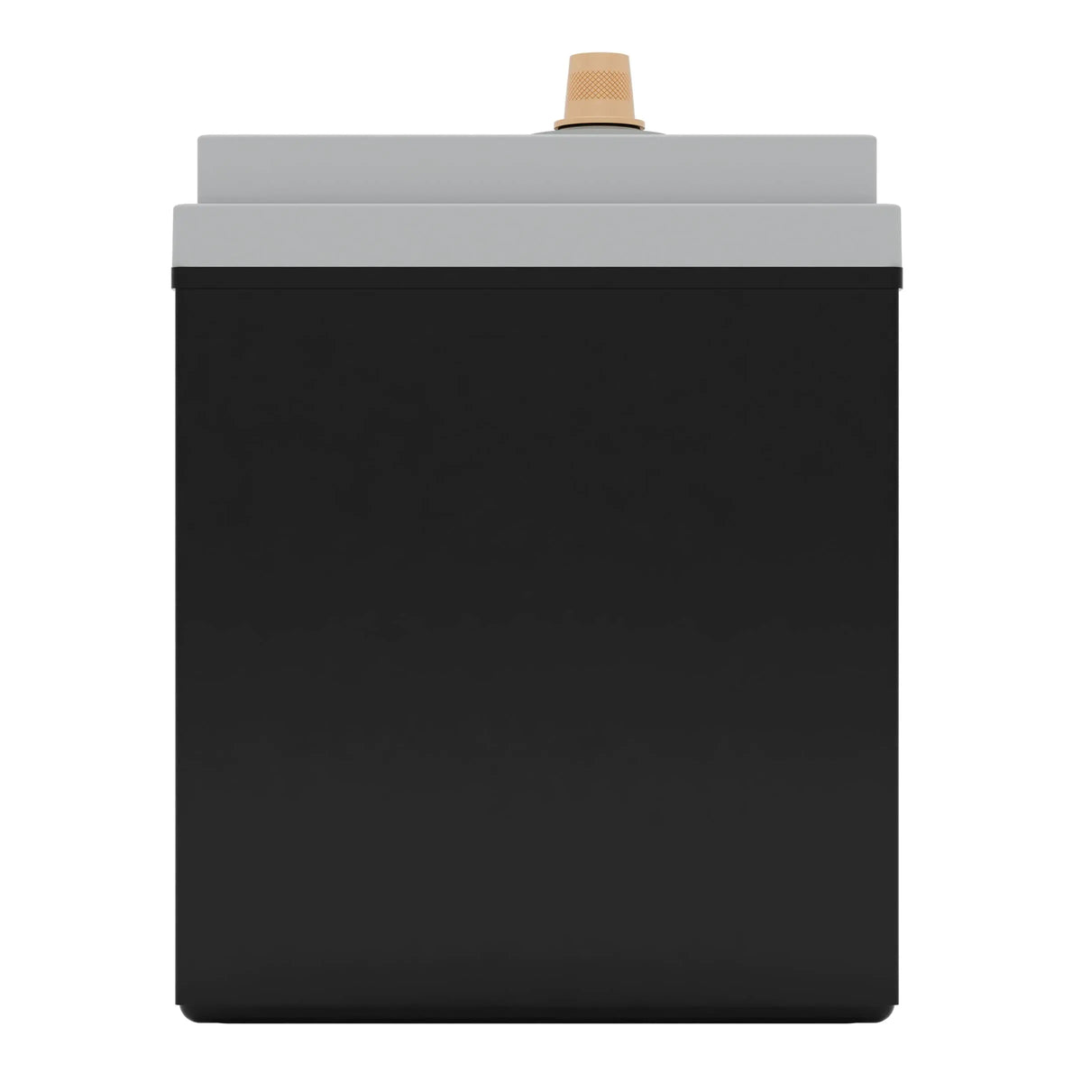 Full Throttle FT1100-31 battery - product view 3