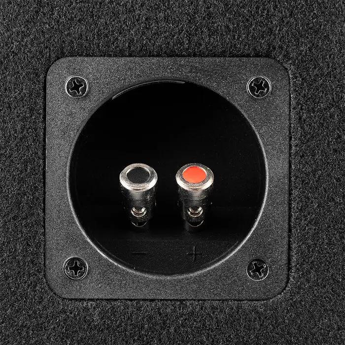 DS18 DS18 GEN-X210LD Bass Package 2 x GEN-X104D 10" Subwoofers In a Ported Box 1600 Watts - Car Audio