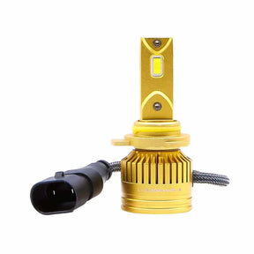 Single gold Lucas LED headlight bulb with a round base and black oval connector
