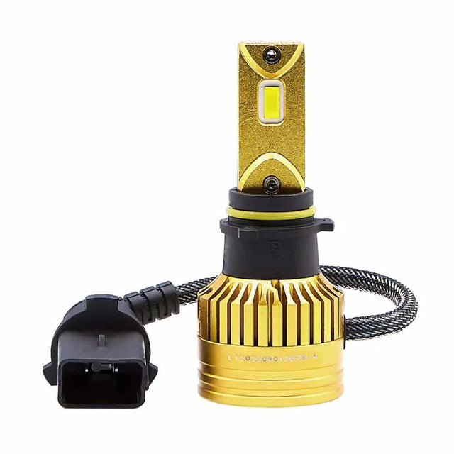 Gold-colored LED bulb with a black collar and yellow ring, shown beside its braided cable and connector