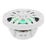 Low front view of a white DS18 speaker showing green lighting, its basket and wiring terminals
