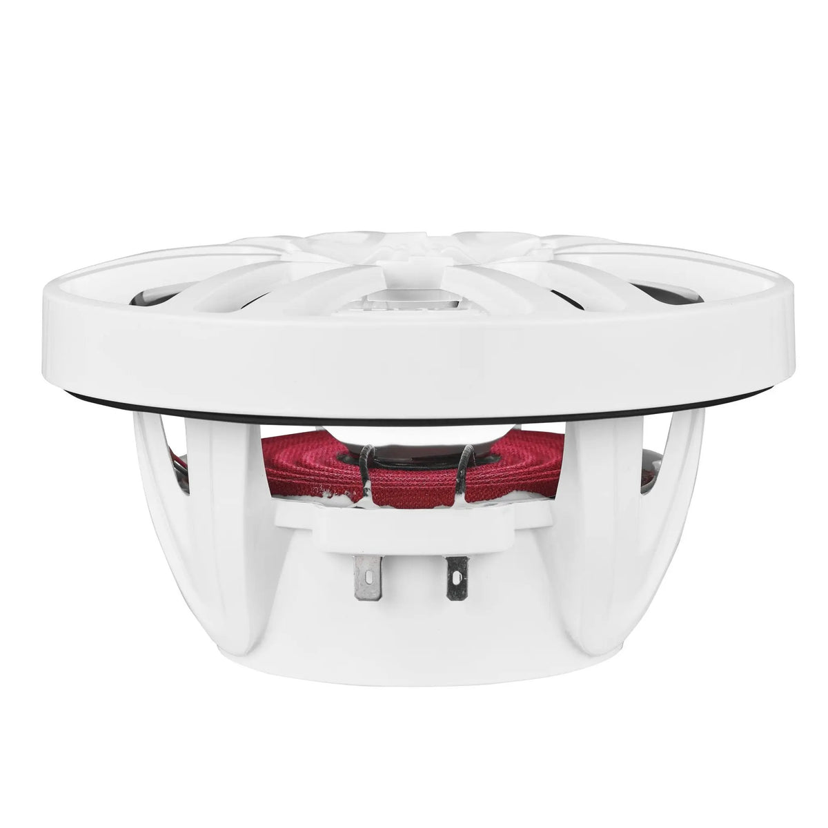 White speaker with red suspension and exposed terminals, side view