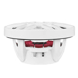White speaker with red suspension and exposed terminals, side view