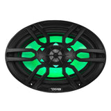 Front view of a black oval DS18 speaker with green lighting behind its grille