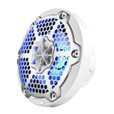 Opposite front angle of a white DS18 speaker with a silver honeycomb grille and blue lighting