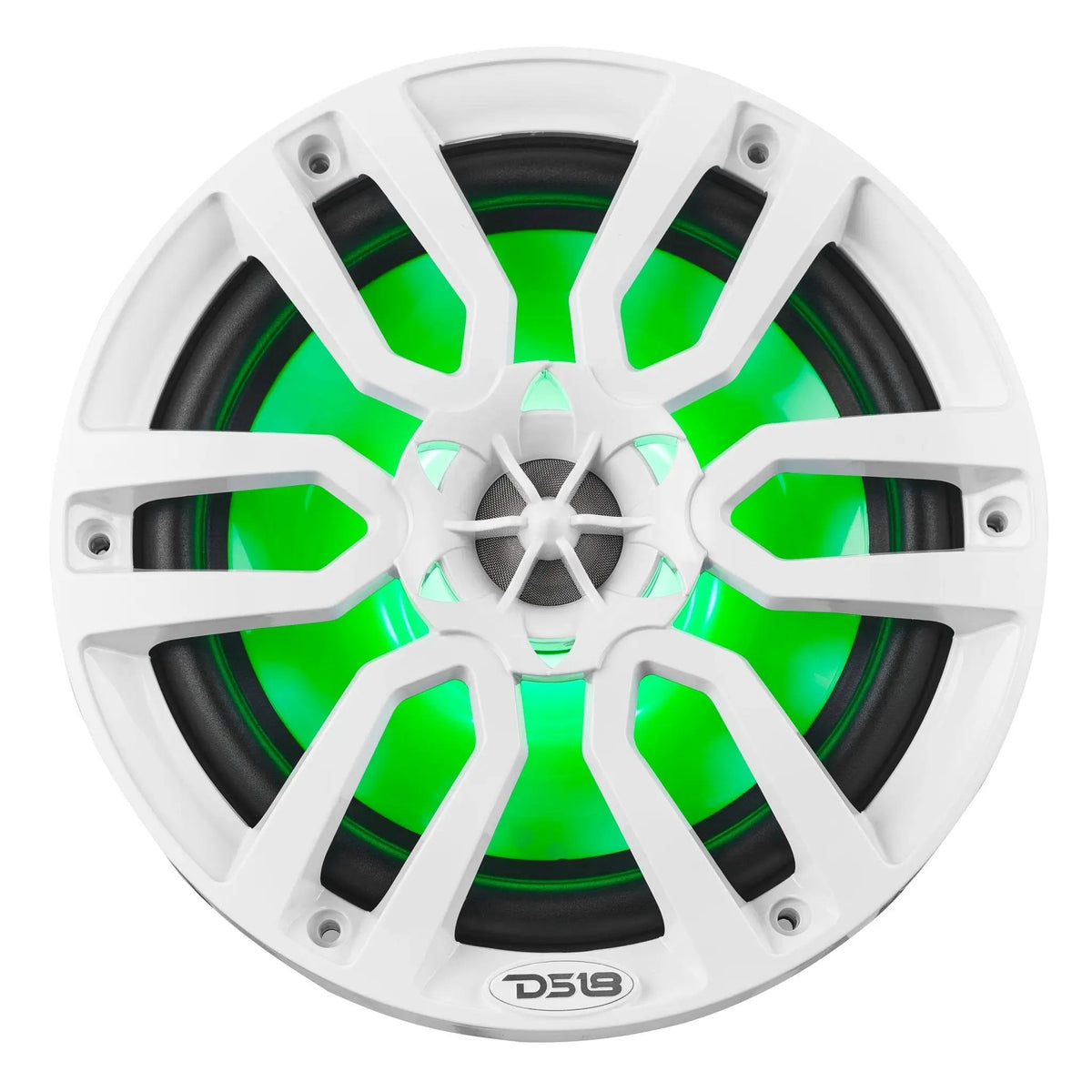 Front view of a white DS18 marine speaker with green illumination behind the grille