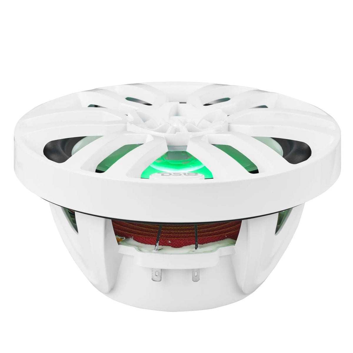 Low-angle view of a white DS18 speaker showing green illumination, open basket and red suspension