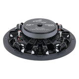 Rear angled view of a shallow Audiopipe subwoofer showing the magnet label, basket and terminals