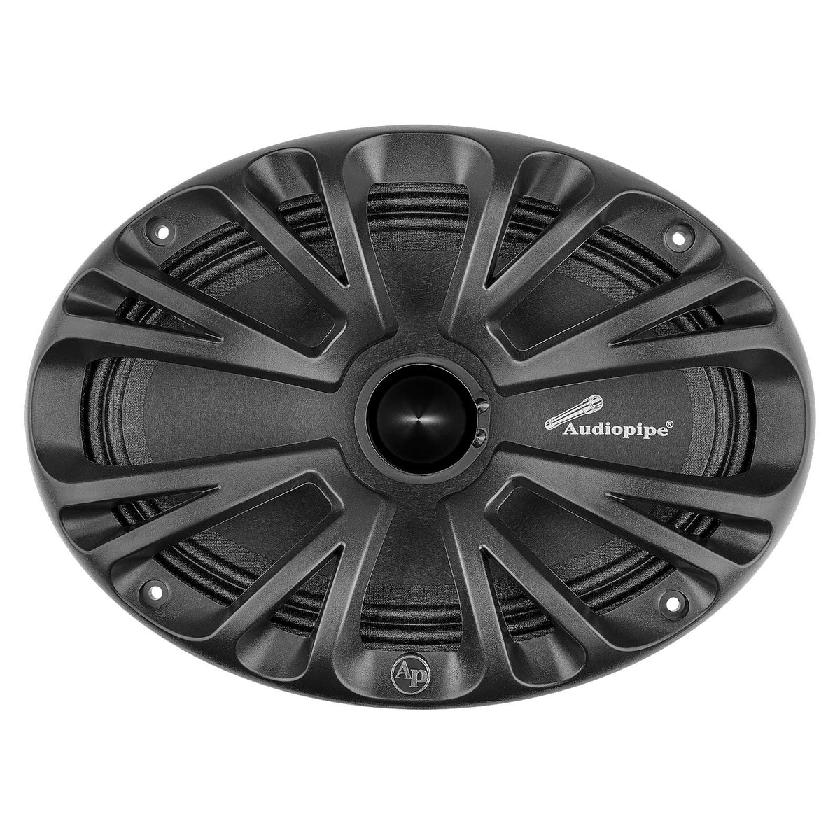 Front view of an oval Audiopipe speaker with a black spoke-pattern grille