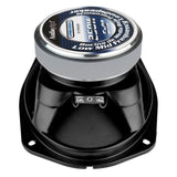 Angled rear view of oval Audiopipe speaker with magnet and connection terminals