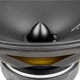 Close-up of an oval speaker's black bullet-shaped center, cone and gold-colored suspension