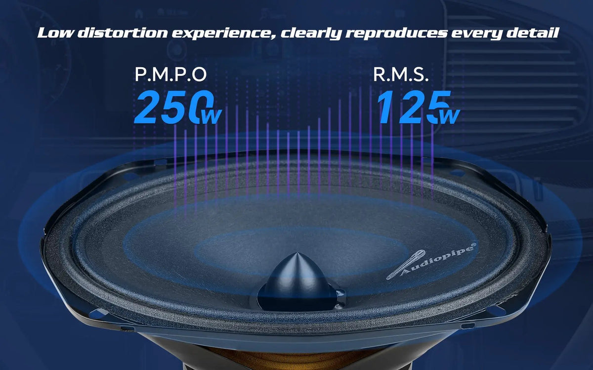 APMB-6900-E oval-speaker graphic listing 250 W peak and 125 W RMS power