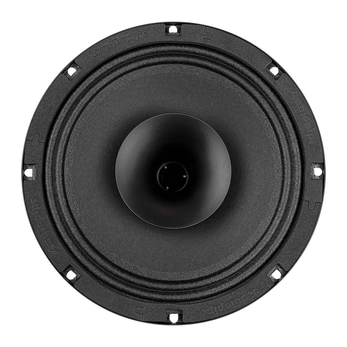 Front view of a black speaker with a wide center horn and six mounting holes