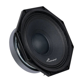 Angled Audiopipe speaker with a black cone, domed center and polygonal mounting rim