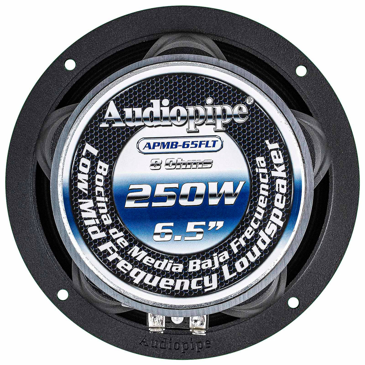 Rear of Audiopipe APMB-65FLT speaker showing its blue-and-white magnet label