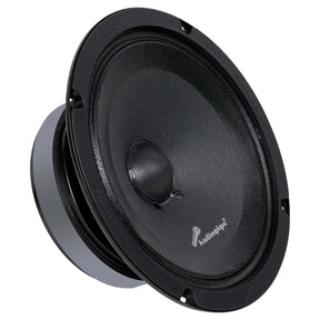 Single black Audiopipe loudspeaker, angled view
