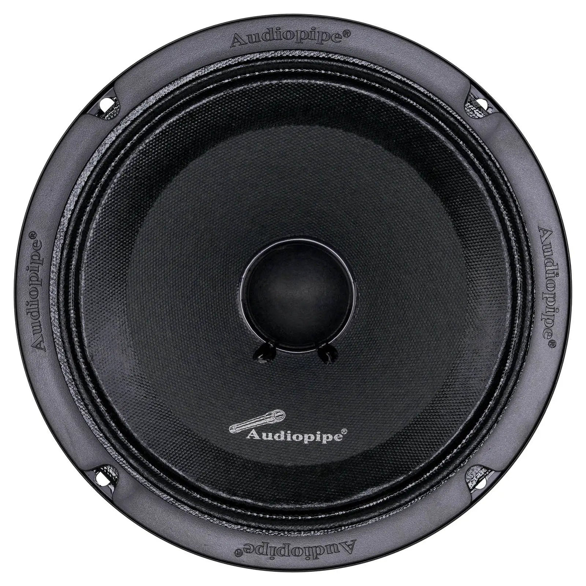 Black Audiopipe loudspeaker, front view