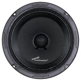 Black Audiopipe loudspeaker, front view