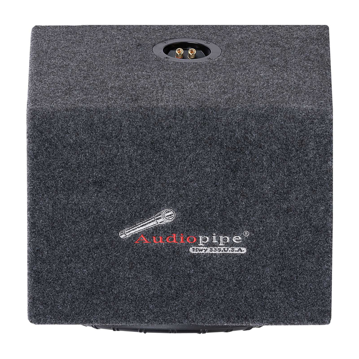 Gray-carpeted enclosure panel with an Audiopipe logo and recessed gold-colored binding posts