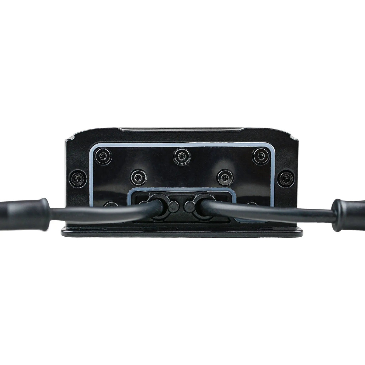 Amplifier end panel with two black cables passing through sealed openings