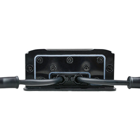 Amplifier end panel with two black cables passing through sealed openings