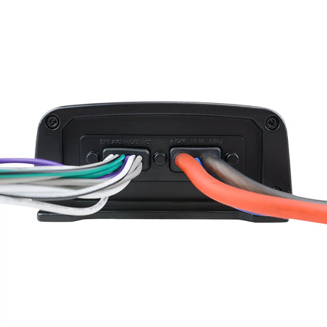Amplifier end panel with bundled color-coded speaker wires and red, blue and black power leads