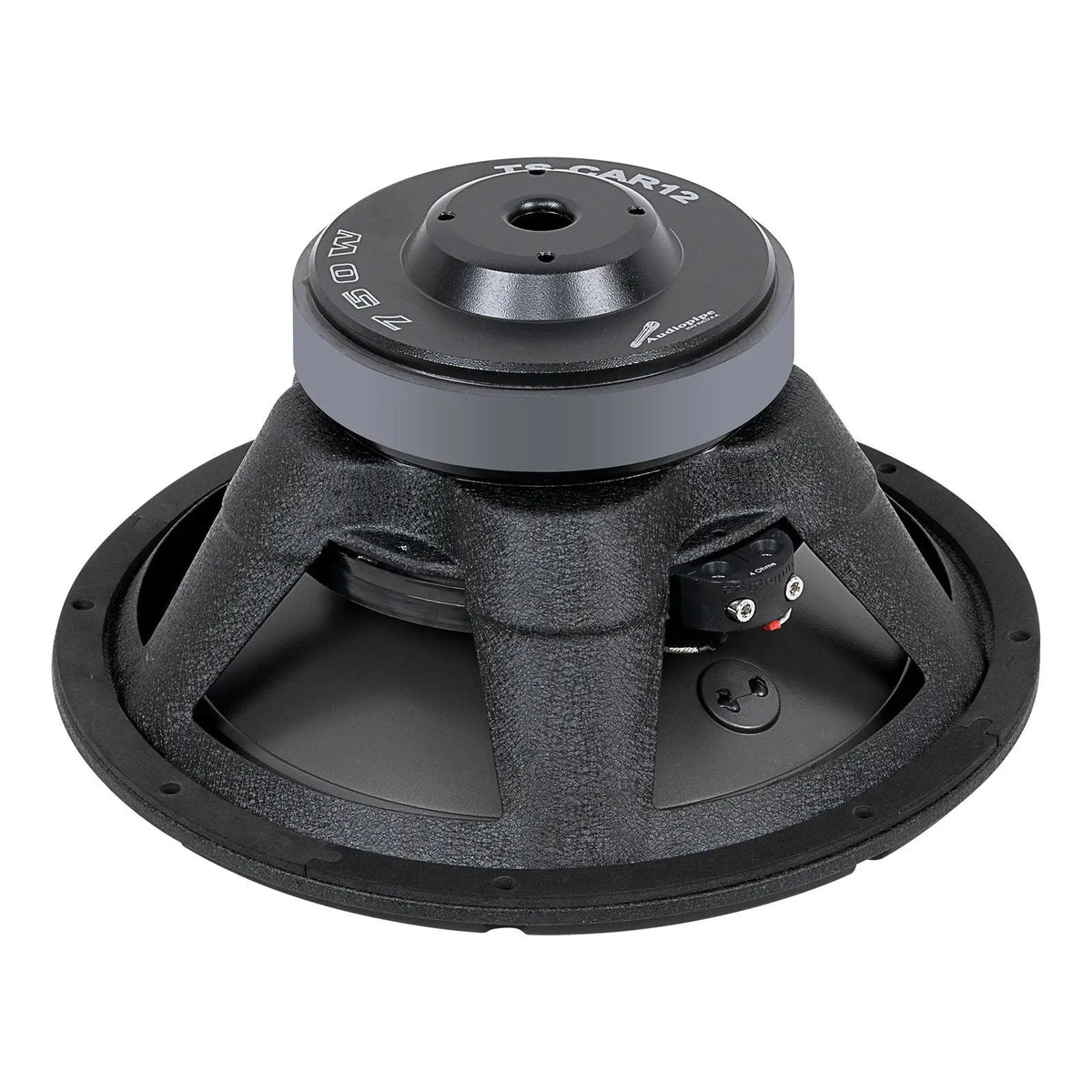 Audiopipe TS-CAR12 woofer, rear view showing the basket and terminals