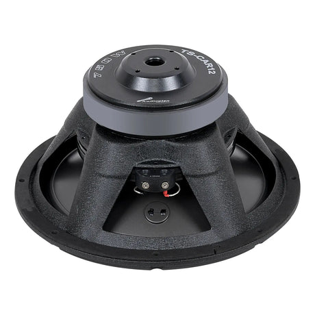 Audiopipe TS-CAR12 woofer, angled rear view