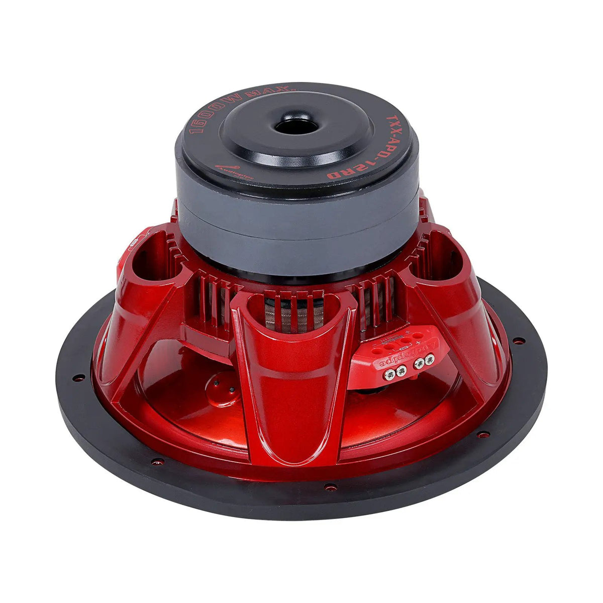 Rear angled view of an Audiopipe subwoofer showing its glossy red basket, gray magnets and terminals