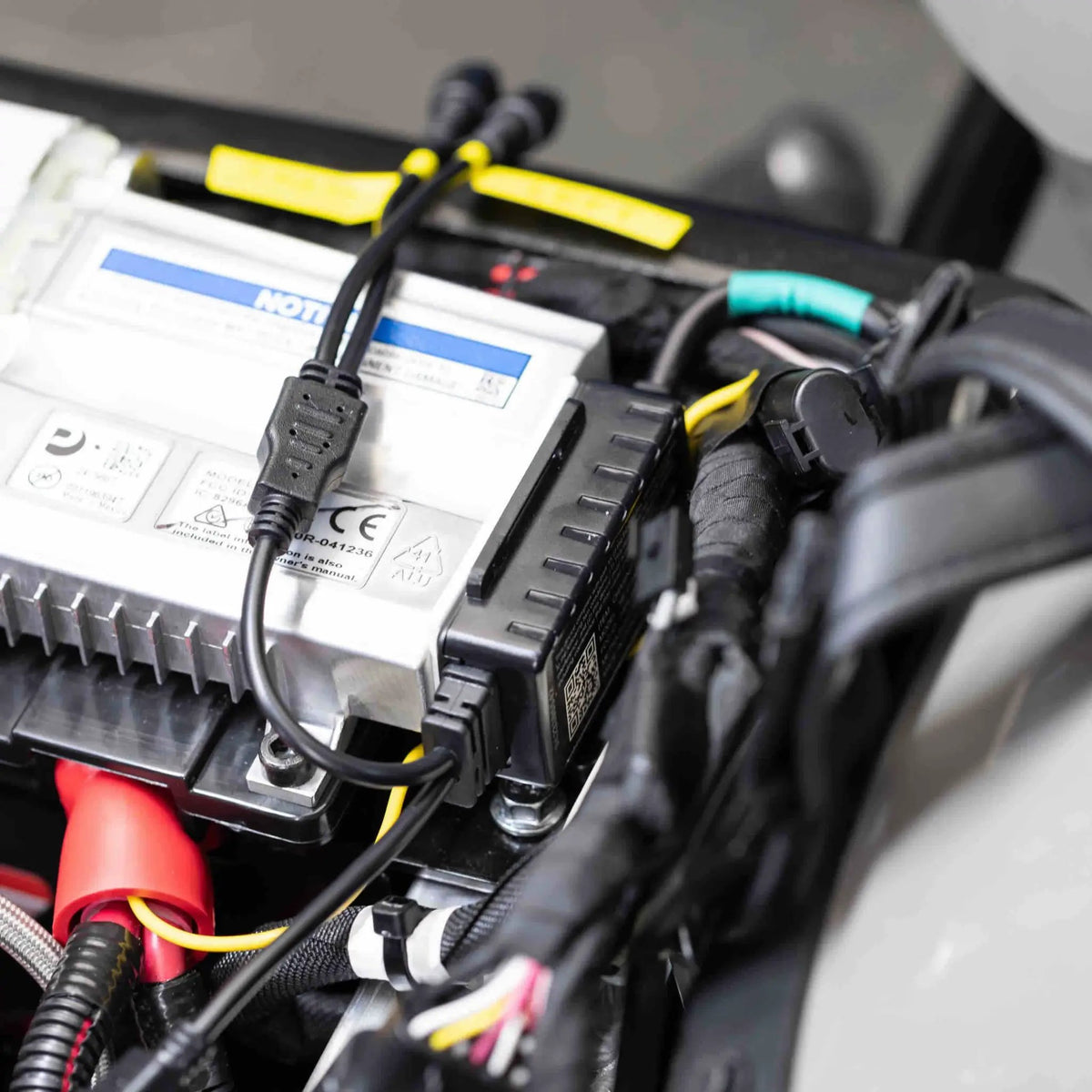 Installed motorcycle lighting wiring and connectors beside an electronic module