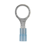 Front view of a large-eyelet ring terminal with a translucent blue insulated barrel