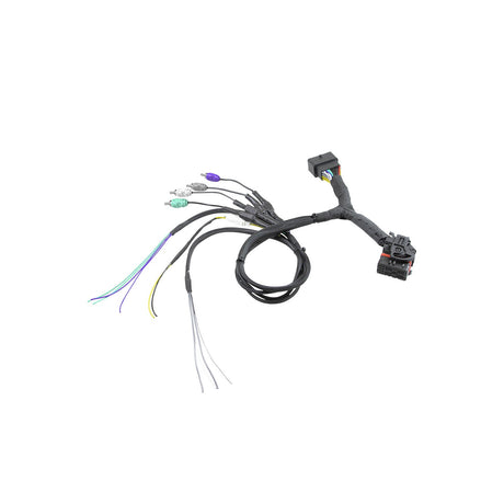 Branched audio wiring harness with plug connectors and loose multicolored wire leads