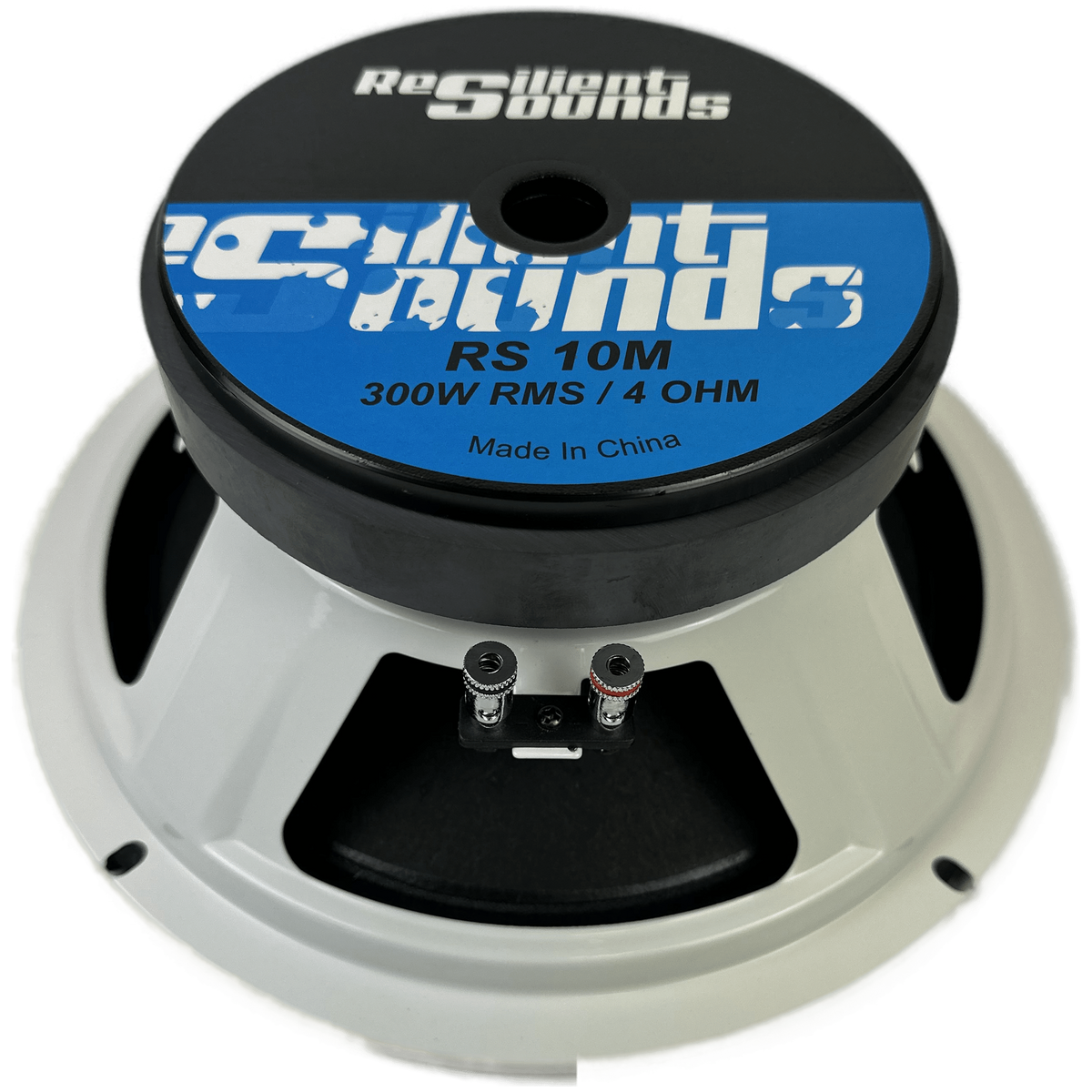 Resilient Sounds RS 10M 10" Pro Audio Midrange Loudspeaker (single) - product image 2