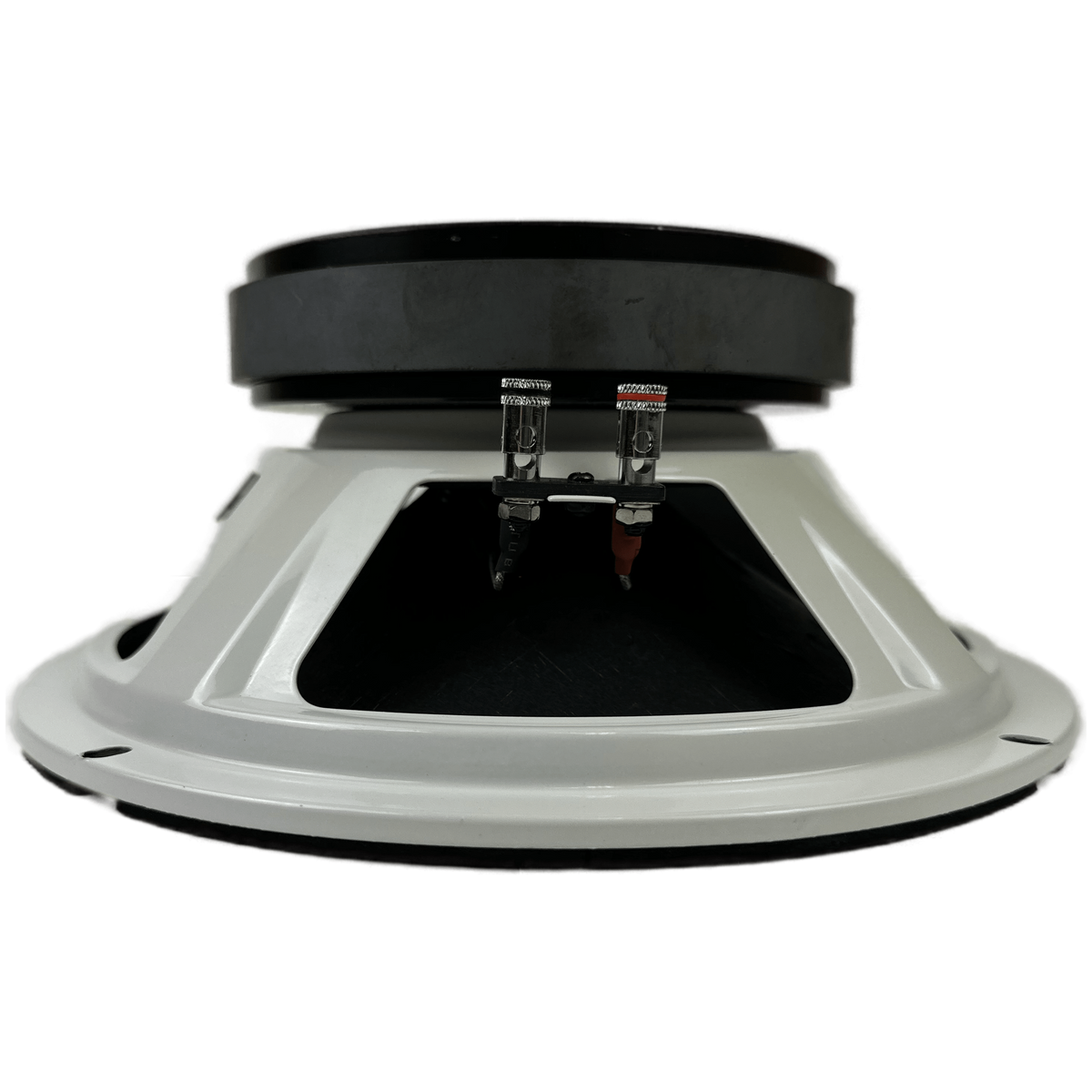 Resilient Sounds RS 10M 10" Pro Audio Midrange Loudspeaker (single) - product image 3